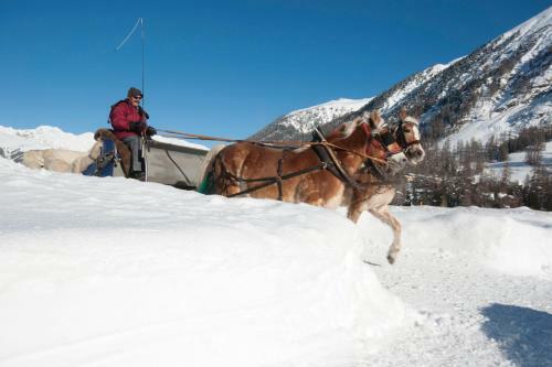 Youth Hostel Pontresina