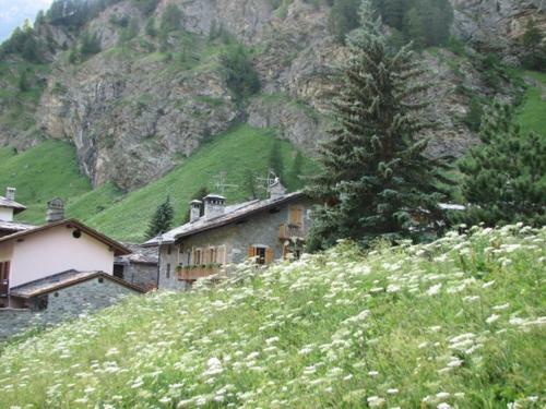 Hostal Arthemisia