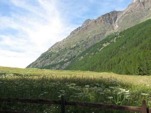 Hostal Arthemisia