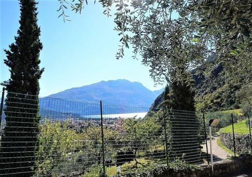 Apartament Dom Pedro Deluxe