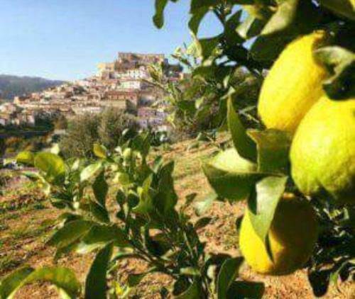 B&B Marilena Affittacamere