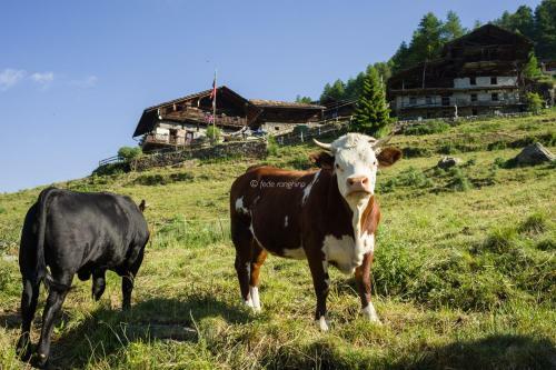 Hotel Rifugio Guide Frachey