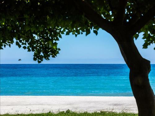 Seafront Villa In Calabria With Garden