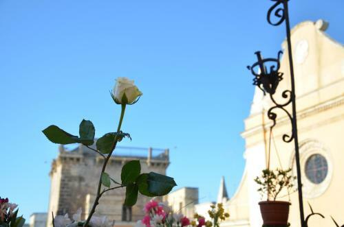 Bed & Breakfast Apulia '800