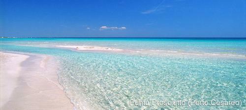 Bed & Breakfast Apulia '800