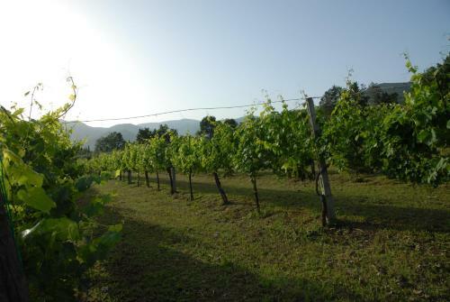 Agroturismo Tenuta Torellone