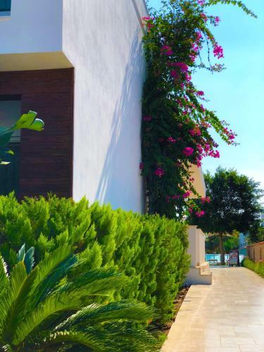 Zest Exclusive Hotel