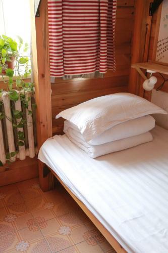 The North International Youth Hostel