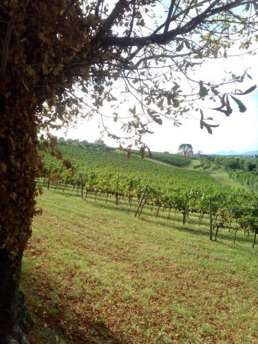 Agroturismo La Costa