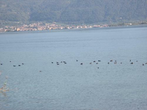 B&B Sarnico Lago D'iseo