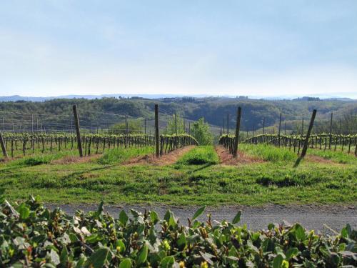 Apartamento Podere Di Mezzo 406s