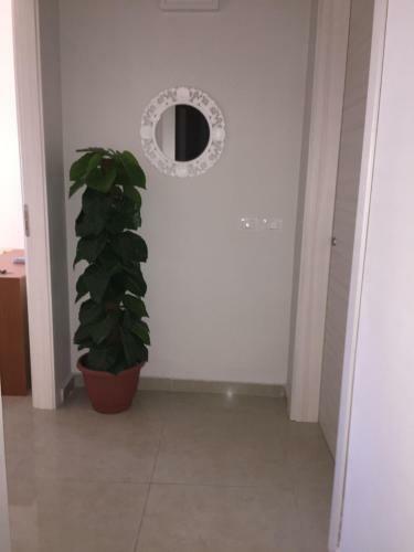 Hostal B&B Vol� Club