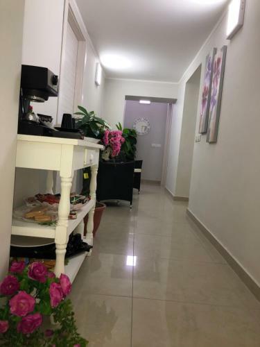 Hostal B&B Vol� Club
