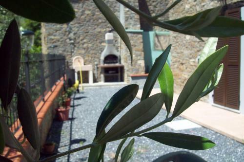 Agroturismo Il Nido Delle Rondini