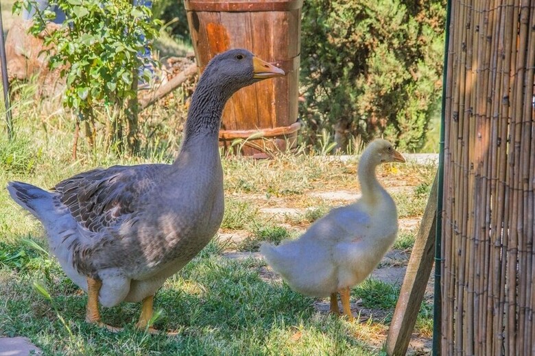Agroturismo I Due Cipressi