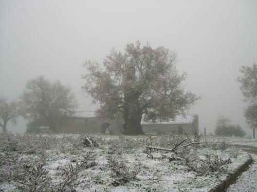 Apartamento Agrit. Il Castelluccio