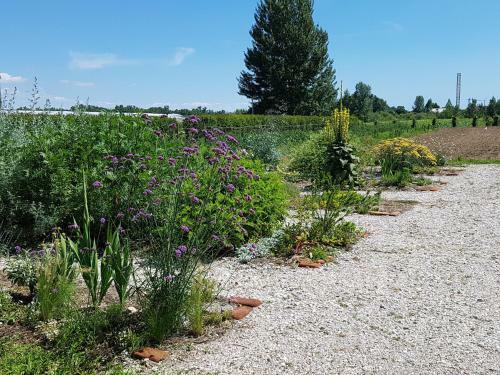 Agroturismo Agriturismo Frascje Dai Spadons