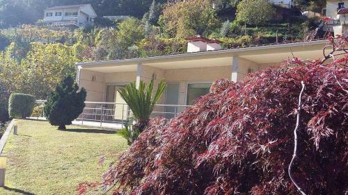 Apartamento Casinhas Do Ger�s