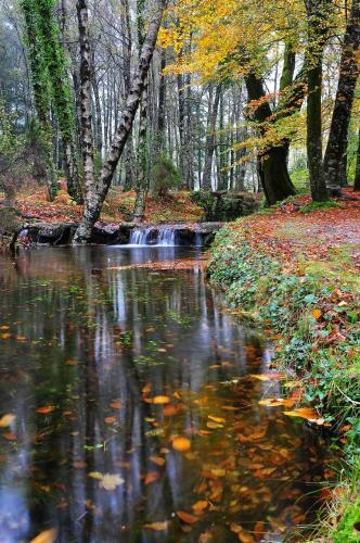 Apartamento Chal� De Soutelinho