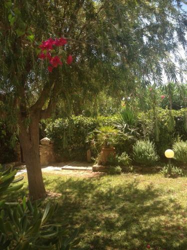 Holiday Home Villamaria