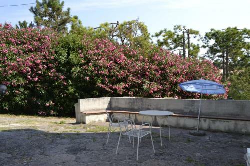 Apartamento Bianchi