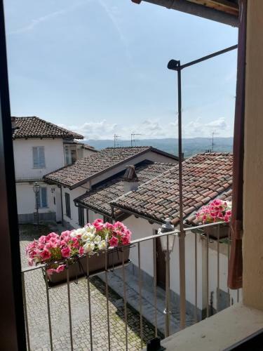Apartamento Raviola E Tajarin