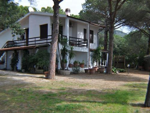 Apartamento Ampio Appartamento Villa Lacona Isola D'elba