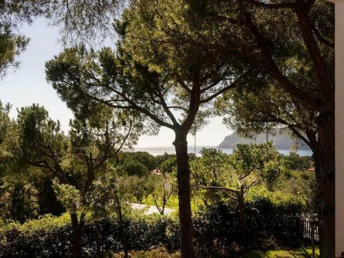 Apartamento Ampio Appartamento Villa Lacona Isola D'elba