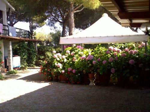 Apartamento Ampio Appartamento Villa Lacona Isola D'elba