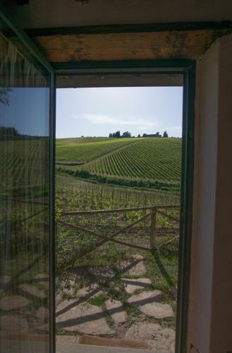 Apartamento Il Fienile Del Vichiaccio