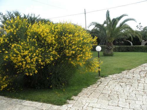 Apartamento Masseria Sant'elia