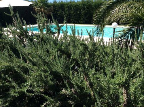 Apartamento Masseria Sant'elia