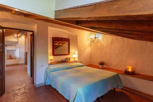 Montignana Apartments