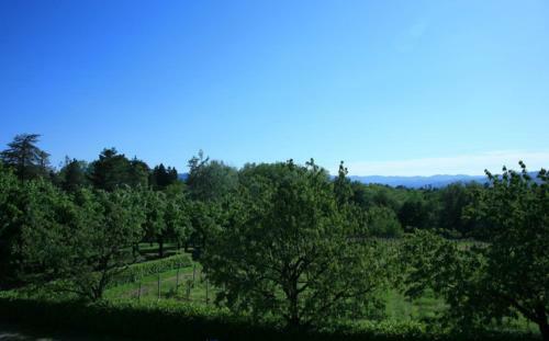 Apartamento Villa Sorgiva