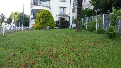 Bed & Breakfast Bnb Belalp