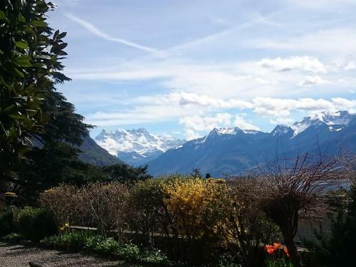 Hotel H�tel Masson