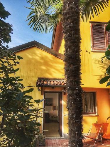 Apartamento Amelia 1