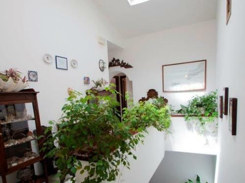 Termini-sant'agata Villa Sleeps 17 Pool Wifi