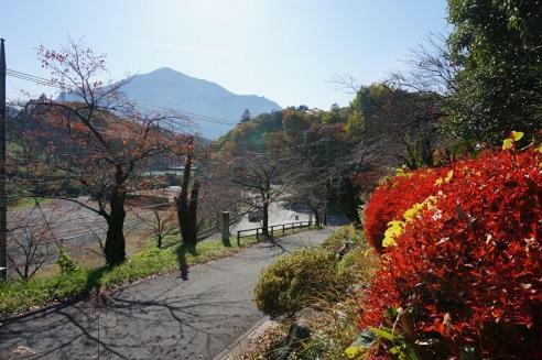Hostal Guest House Nihon 1 Shuu