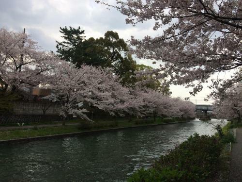 Agroturismo Suzume-an