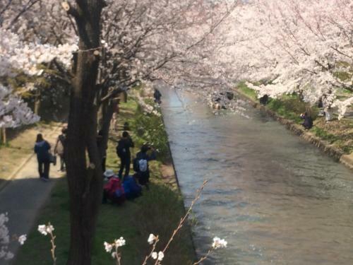 Agroturismo Suzume-an