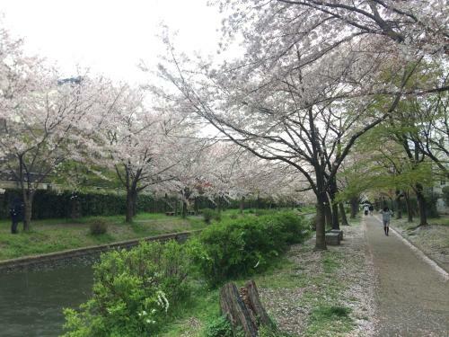 Agroturismo Suzume-an