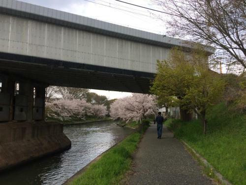 Agroturismo Suzume-an
