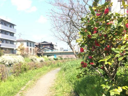 Agroturismo Suzume-an
