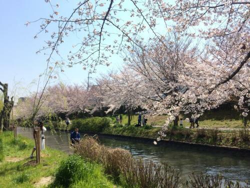 Agroturismo Suzume-an