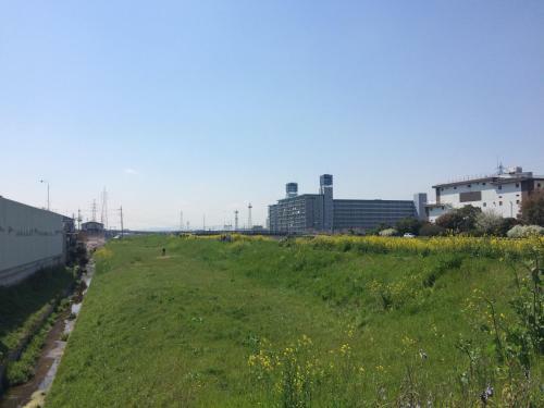 Agroturismo Suzume-an