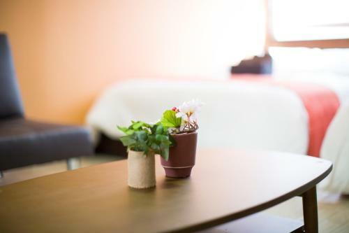 Posada Kamon Inn Sunhouse