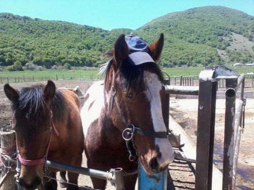 Hostal Chalet Vista Lago