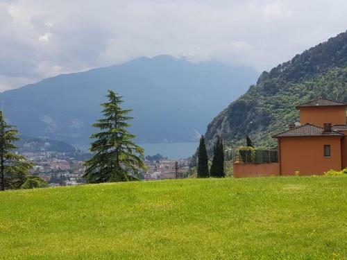 Apartament Al Dom 72
