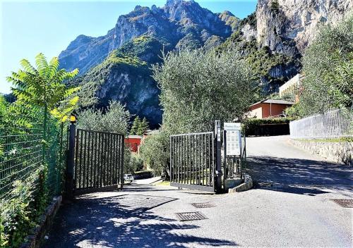 Apartament Al Dom 72